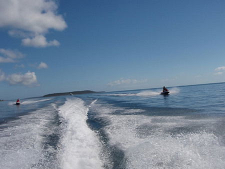 Aquavue Cafe Watersports - Whitsundays Accommodation 7