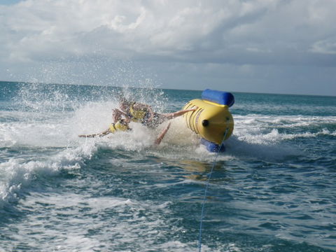 Aquavue Cafe Watersports - Whitsundays Accommodation 9