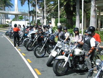 Wildfire Tours - Whitsundays Accommodation 1