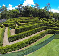 Bellingham Maze - Whitsundays Accommodation