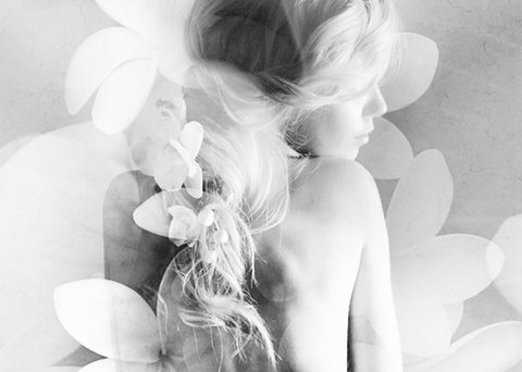 Elysium- A Place Of Beauty - Whitsundays Accommodation 1