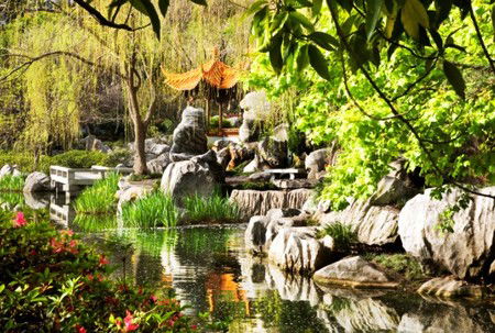 Chinese Garden Of Friendship - Whitsundays Accommodation 3