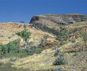 Whitsundays Accommodation