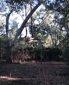 Ghost House Walk Trail, Yanchep National Park - Whitsundays Accommodation 0