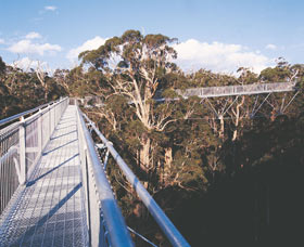  Whitsundays Accommodation
