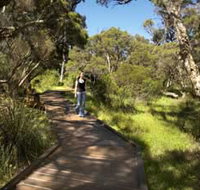 Leschenault Peninsula Conservation Park - Whitsundays Accommodation
