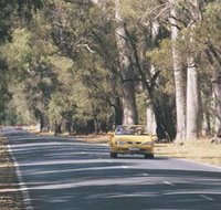 Ludlow Tuart Forest - Whitsundays Accommodation