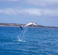 Steep Point - Whitsundays Accommodation