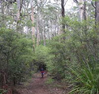 Margaret River Rails Trail - Whitsundays Accommodation