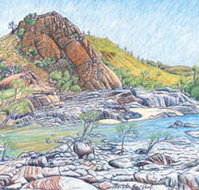 Red Dirt Arts - Whitsundays Accommodation