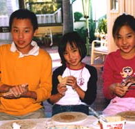 Peel Pottery - Whitsundays Accommodation