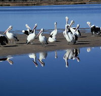 Peel Region Canoe Trails - Whitsundays Accommodation
