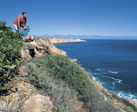 Dampier Salt Mines - Whitsundays Accommodation 0