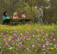 Gwambygine Park - Whitsundays Accommodation