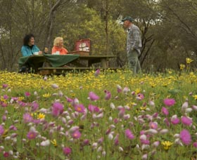 Gwambygine Park - Whitsundays Accommodation 0