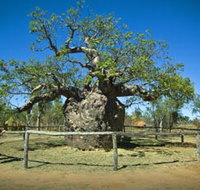 Pigeon Heritage Trail - Whitsundays Accommodation