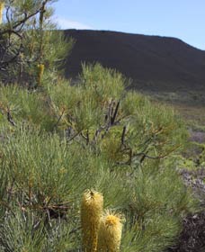  Whitsundays Accommodation