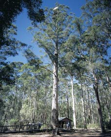 Wilgarrup WA Whitsundays Accommodation