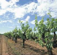 Blackwood Meadery - Whitsundays Accommodation