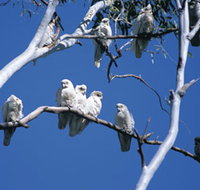 Carawine Gorge - Whitsundays Accommodation