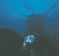 Swan Dive Wreck - Whitsundays Accommodation