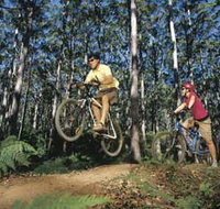 Leeuwin-Naturaliste National Park - Cowaramup - Whitsundays Accommodation