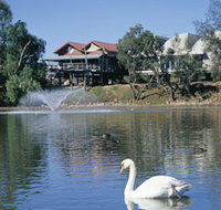 White Swans - Whitsundays Accommodation
