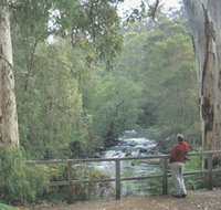 Cascades - Whitsundays Accommodation