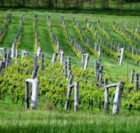 Sienna Estate Winery - Whitsundays Accommodation