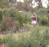 The Mythic Mazes - Whitsundays Accommodation