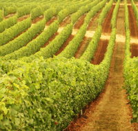 Xanadu Wines - Whitsundays Accommodation