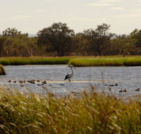 Anytime Adventures in Mandurah  the Peel Region - Whitsundays Accommodation