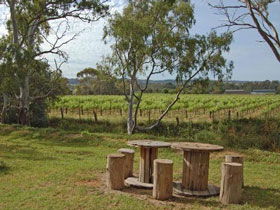 Goodieson Brewery - Whitsundays Accommodation 0