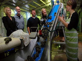 Eyre Peninsula's Seafood Trail - Whitsundays Accommodation 0