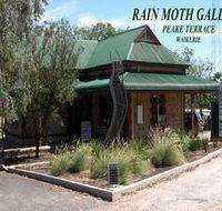 Rain Moth Gallery - Whitsundays Accommodation