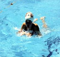 Mount Gambier Aquatic Centre - Whitsundays Accommodation