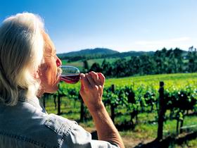  Whitsundays Accommodation