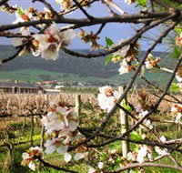 Cradle of Hills McLaren Vale Winery - Whitsundays Accommodation