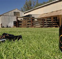 Wilkadene Woolshed Brewery - Whitsundays Accommodation