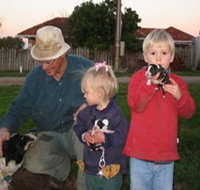 Orrie Cowie Merino and Poll Merino Stud - Whitsundays Accommodation