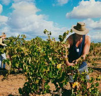 Torbreck Vintners - Whitsundays Accommodation