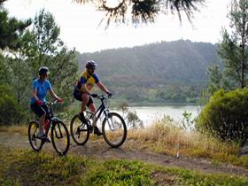 Mount Gambier Crater Lakes Mountain Bike Trail - Whitsundays Accommodation 0