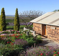 Coriole Vineyards