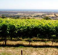 Braydun Hill Vineyard - Whitsundays Accommodation