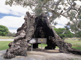 Springton SA Whitsundays Accommodation