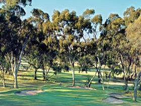 Tanunda Pines Golf Club - Whitsundays Accommodation 0