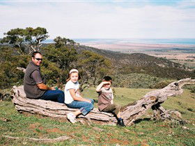 Bridle Track - Whitsundays Accommodation 0