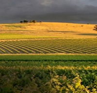 Kellermeister Wines - Whitsundays Accommodation