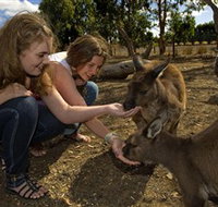 Kangaroo Island Wildlife Park - Whitsundays Accommodation