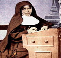 Mary MacKillop Penola Centre - Whitsundays Accommodation